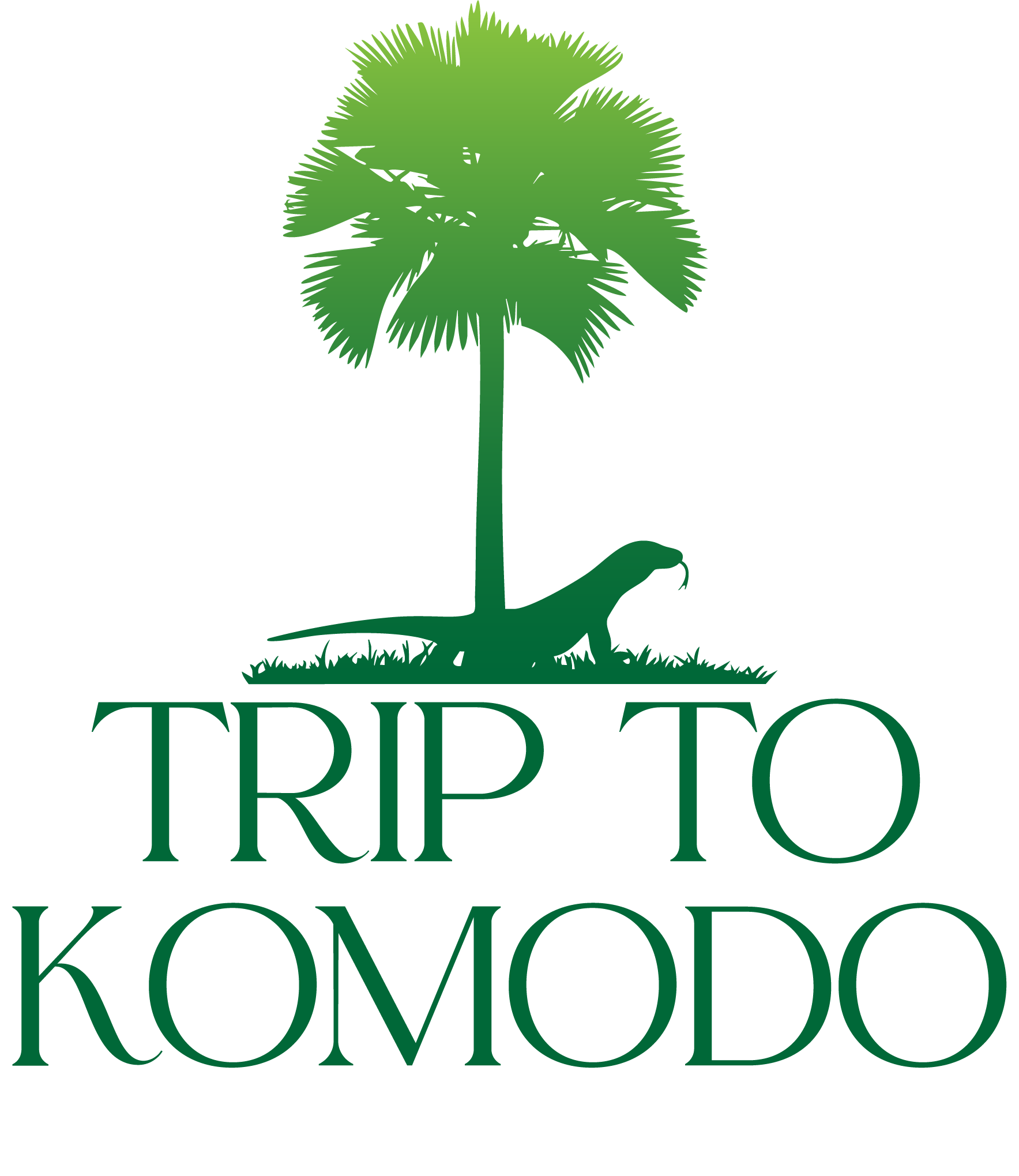 Trip To Komodo